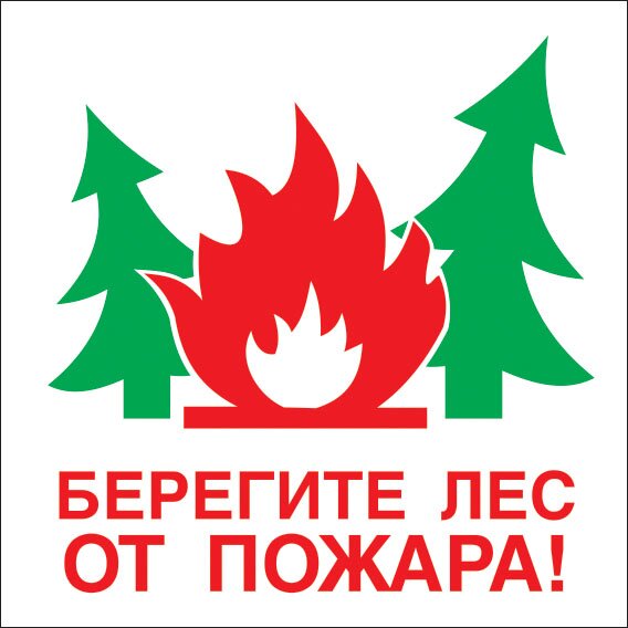 Плакат В-06 "Берегите лес от пожара" (500х500мм)